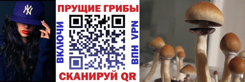 Псилоцибиновые грибы мухоморы  купить  цена  Вуктыл 