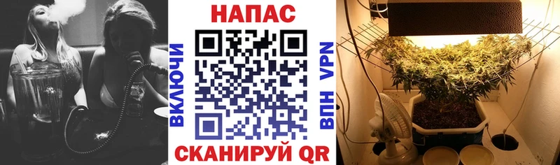 Каннабис планчик  kraken ССЫЛКА  Вуктыл  купить  цена 